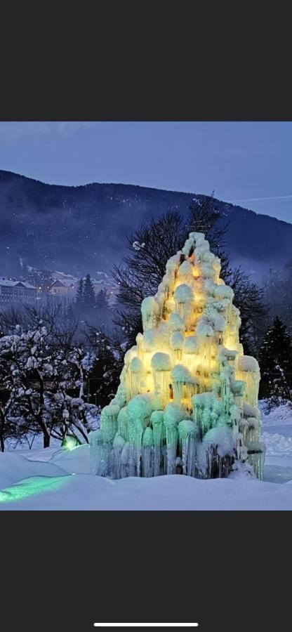 Hotel Rosengarten Tarvisio Kültér fotó